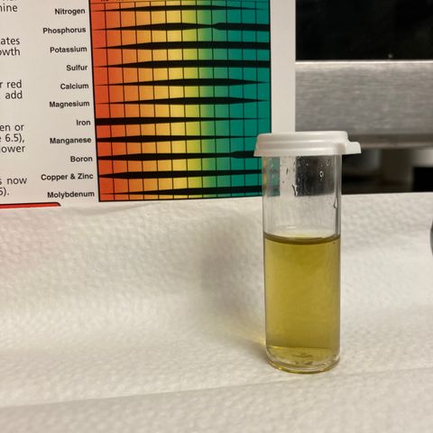 ZKittles 007 growlog photo: Water Run Off 6.0 Ph