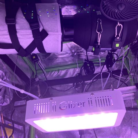 ZKittles 007 growlog photo: Added Inline Filter & Fan