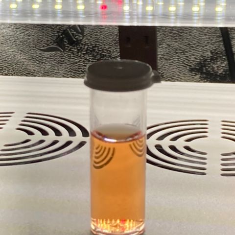 ZKittles 007 growlog photo: Ph 5.3-5.5