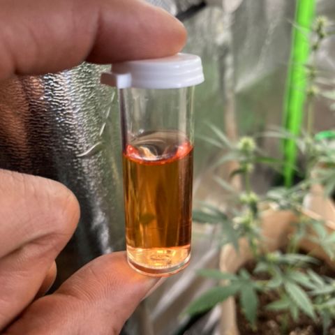 ZKittles 007 growlog photo: Ph 5.3-5.5