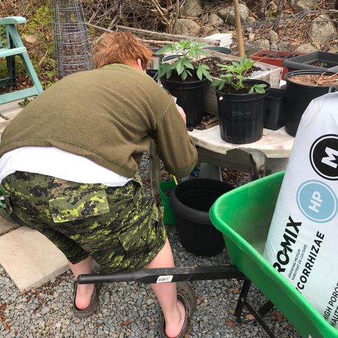 White Widow growlog photo: Supplies and support
