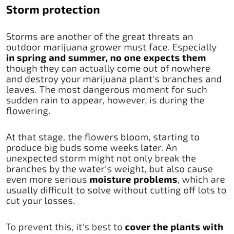 White Widow growlog timeline photo