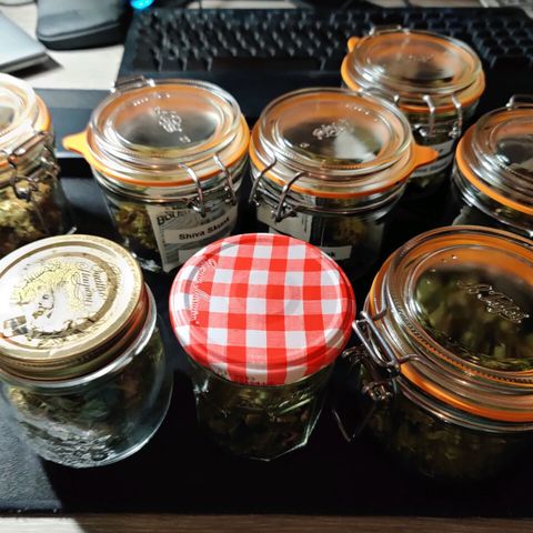 Skunki growlog photo: Manucure et curing
55 g