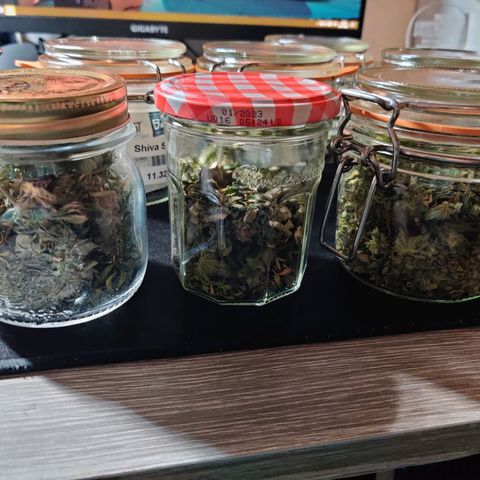 Skunki growlog photo: Manucure et curing
55 g