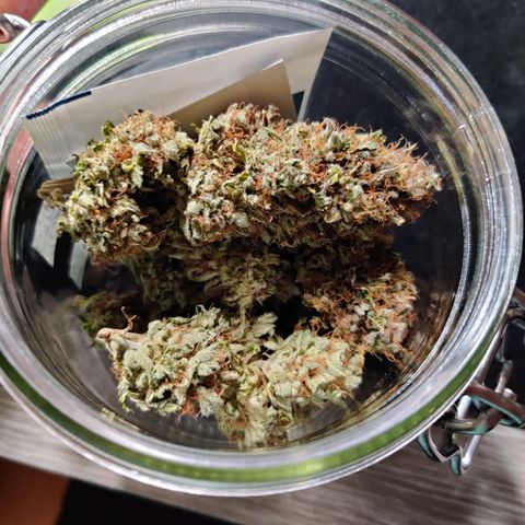 Skunki growlog photo: Manucure et curing
55 g