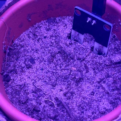 The Real Q1 growlog timeline photo