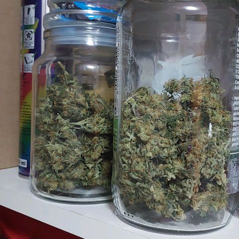 Ak47 Auto growlog timeline photo