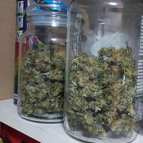 Ak47 Auto growlog timeline photo
