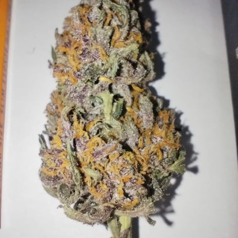 Purple Punch Auto growlog timeline photo