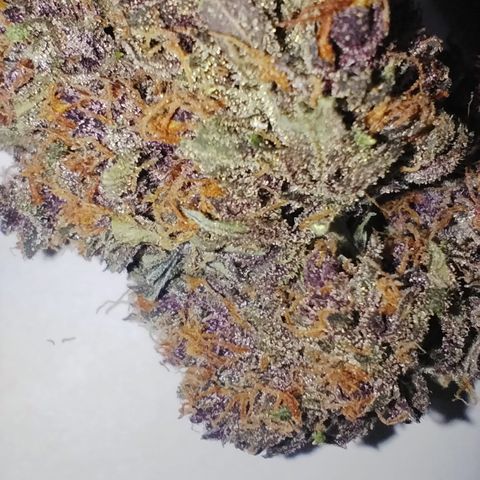 Purple Punch Auto growlog timeline photo