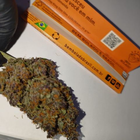 Purple Punch Auto growlog timeline photo