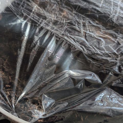 Sozar growlog photo: Frischhaltefolie von Innen beschlagen. Verhindern von austrocknen klappt