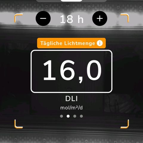 Special Queen #3 growlog timeline photo