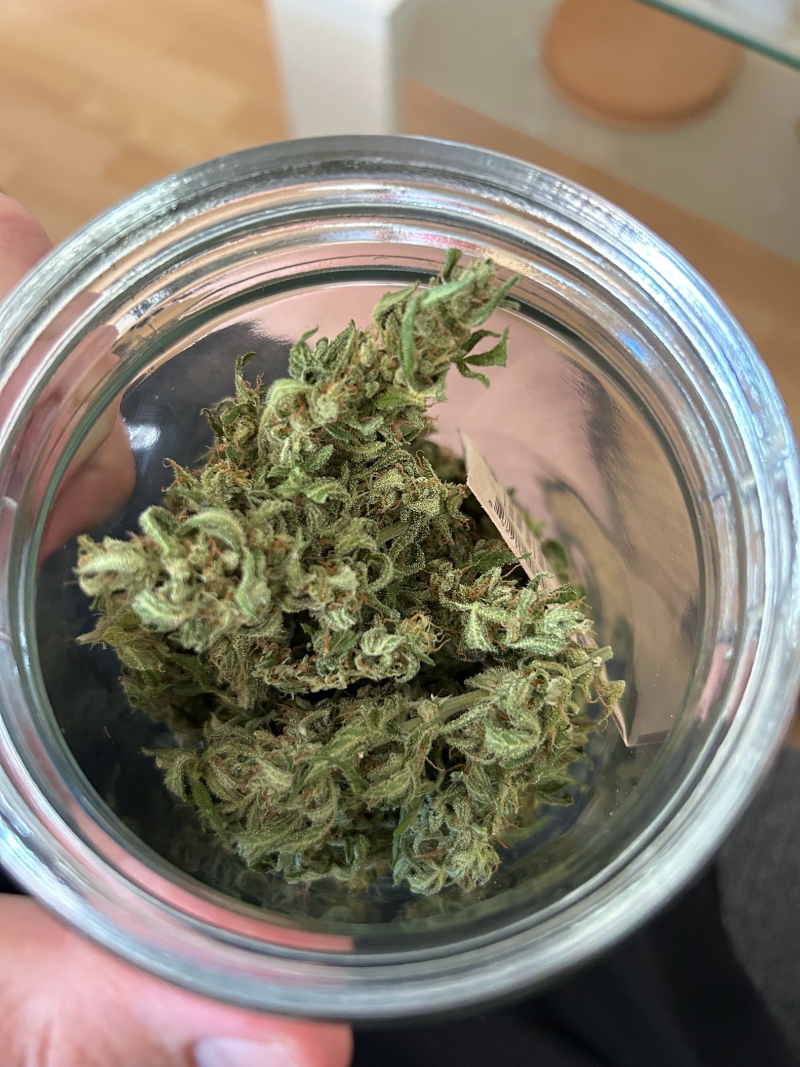 White Widow XXL #1 growlog header