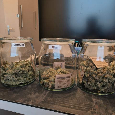 Pulp Fiction  growlog timeline photo