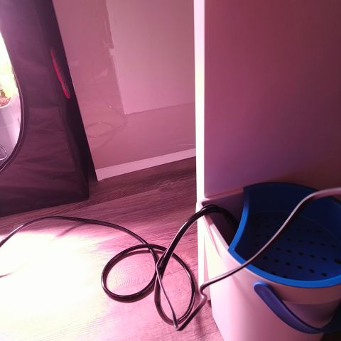 Lemon Orange GHS growlog photo: Vivosun Flexfeed aufgebaut, weil ab morgen 5 Tage Urlaub 