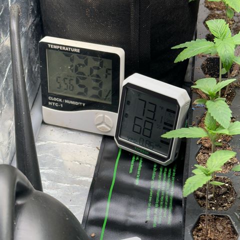 Misc x (LA Kush x Zkittles) #26 60.7g growlog timeline photo