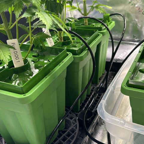 Shaman growlog photo: Installed 12 port water manifold and water lines