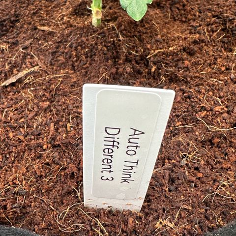 Auto Think Different  #3 growlog timeline photo