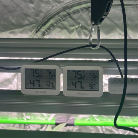 CxLAZ #16 50.72g growlog timeline photo
