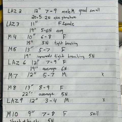 CxLAZ #16 50.72g growlog photo: Notes for all plants in flower 
