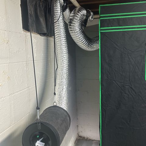 CxLAZ #16 50.72g growlog photo: Plumbed exhaust into 4" exit house