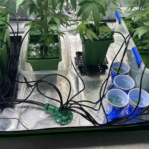 Shaman growlog photo: Installed 12 port water manifold and water lines
