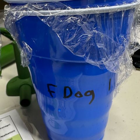 Fuel D.OG #1 Female 47.36g growlog photo: Took clones
