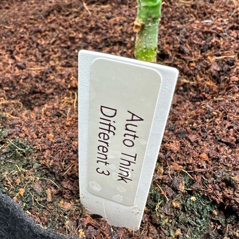 Auto Think Different  #3 growlog timeline photo