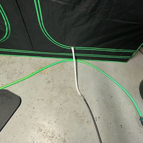 CxLAZ #16 50.72g growlog timeline photo