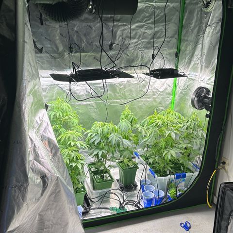 Shaman growlog photo: Installed 12 port water manifold and water lines