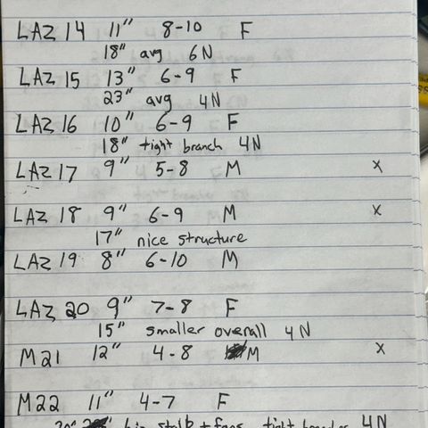 CxLAZ #16 50.72g growlog photo: Notes for all plants in flower 