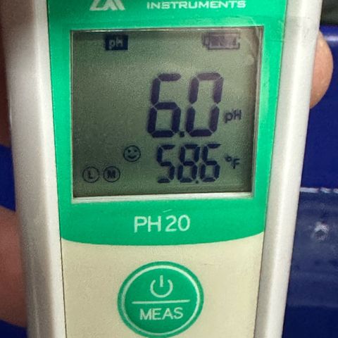 Shaman growlog photo: 6.0 PH
1292 EC
58.6 *F