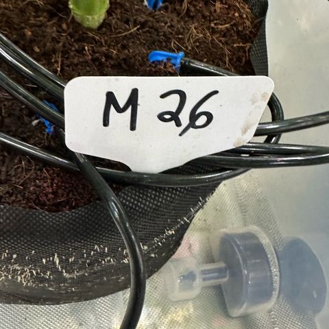Misc x (LA Kush x Zkittles) #26 60.7g growlog timeline photo