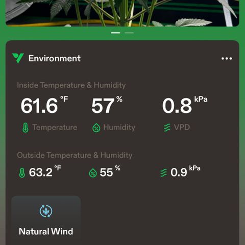 CxLAZ #16 50.72g growlog timeline photo