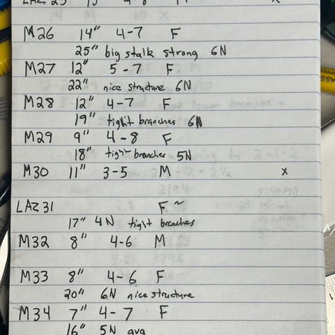 CxLAZ #16 50.72g growlog photo: Notes for all plants in flower 
