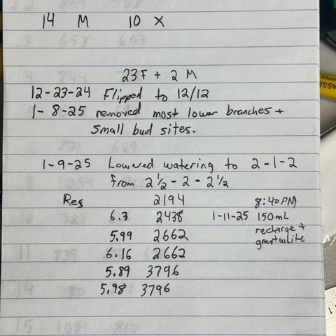 CxLAZ #16 50.72g growlog photo: Notes for all plants in flower 