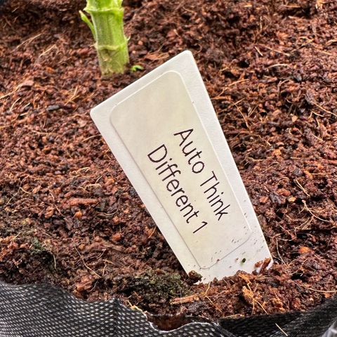 Auto Think Different  #1 growlog timeline photo