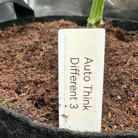 Auto Think Different  #3 growlog timeline photo