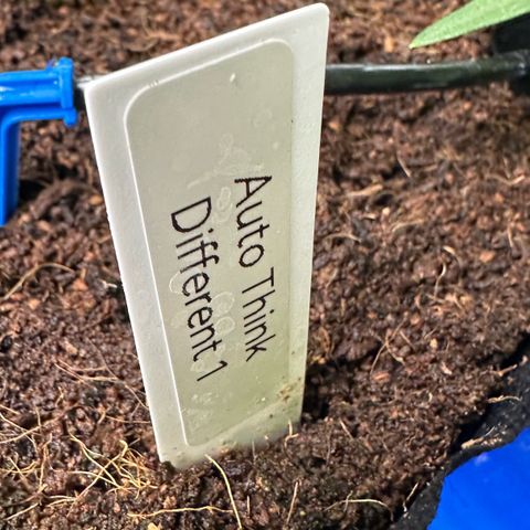 Auto Think Different  #1 growlog timeline photo