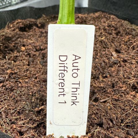 Auto Think Different  #1 growlog timeline photo