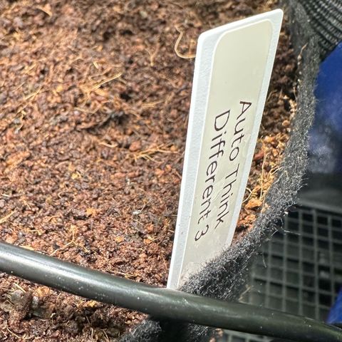 Auto Think Different  #3 growlog timeline photo