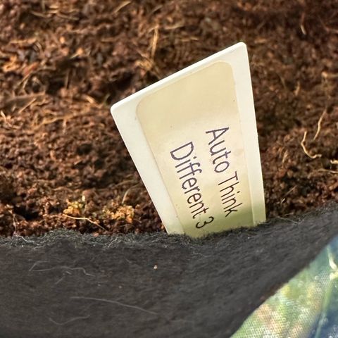Auto Think Different  #3 growlog timeline photo