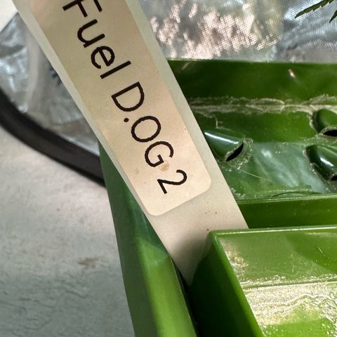 Fuel D.OG #2 Female 49.44g M growlog timeline photo