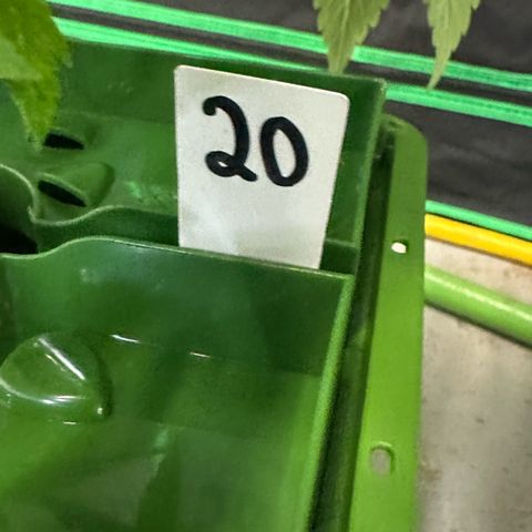 CxLAZ #20 C1 25g growlog timeline photo