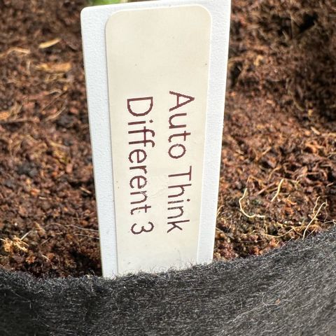 Auto Think Different  #3 growlog timeline photo
