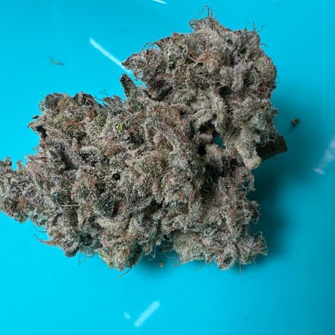 CxLAZ #15 52g growlog photo: Seeded bud