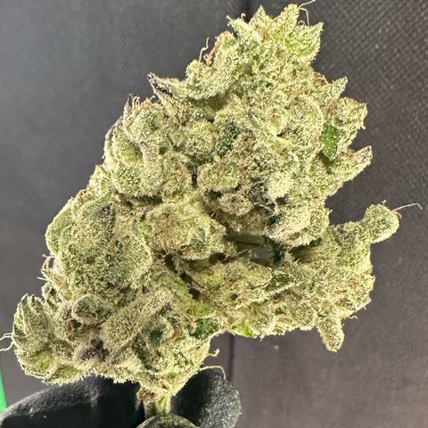 CxLAZ #24 37.13g growlog photo: Seeded bud