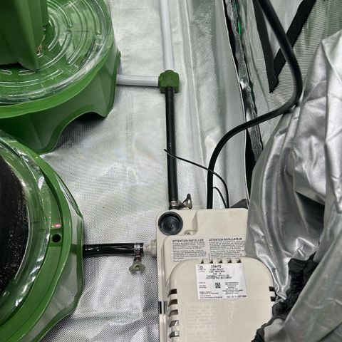 CxLAZ #16 50.72g growlog timeline photo