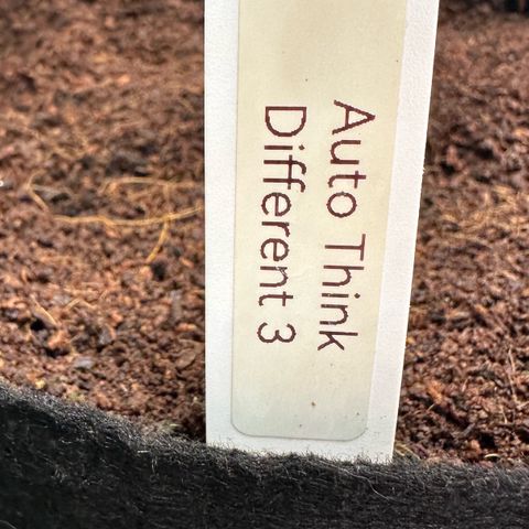 Auto Think Different  #3 growlog timeline photo